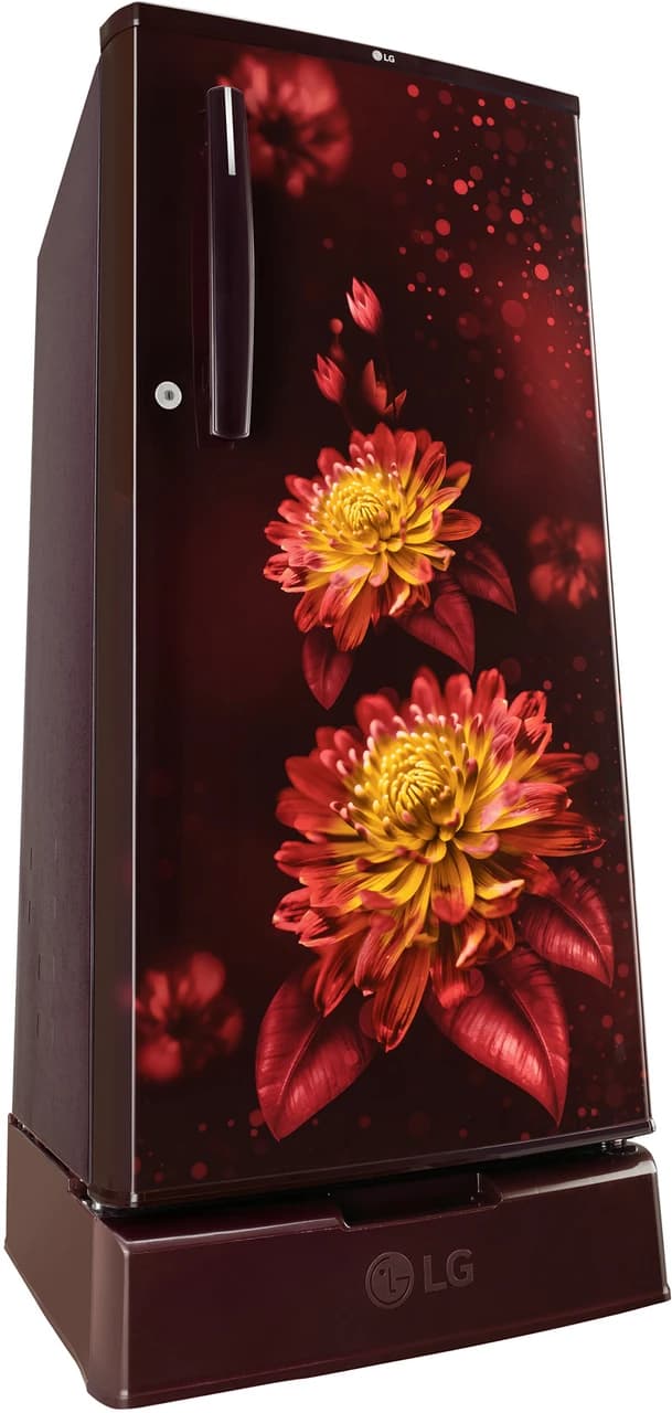 LG REF GLD1925WORB preview 2